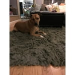 Image 5 of customer photos