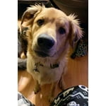 Image 5 of customer photos