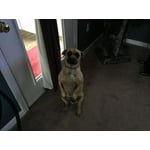 Image 6 of customer photos