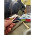 Image 7 of customer photos