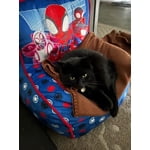 Image 7 of customer photos