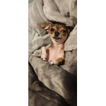 Image 5 of customer photos