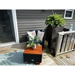 Image 3 of customer photos