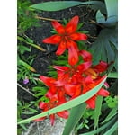 Image 6 of customer photos