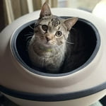 Image 4 of customer photos