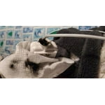 Image 5 of customer photos