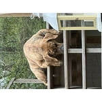 Image 1 of customer photos