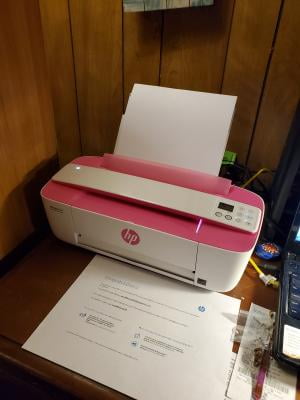 pink printer hp