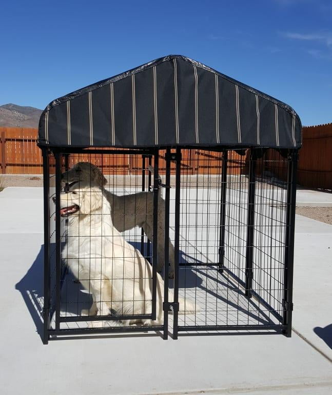 Lucky Dog Kennel 4x4 Off 69 Www Usushimd Com Lucky Dog Kennel 4x4 Off 69 Www Usushimd Com