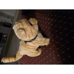 Image 2 of customer photos