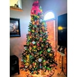 Image 6 of customer photos