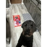 Image 3 of customer photos