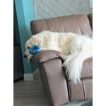 Image 2 of customer photos