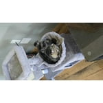 Image 6 of customer photos