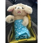 Little Live Pets Cozy Dozy Cubbles the Bear - Interactive Toy with Over ...