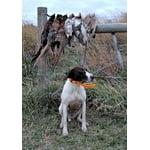 Image 2 of customer photos