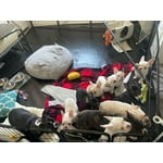 Image 5 of customer photos