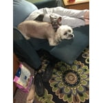 Image 3 of customer photos