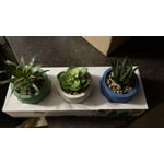 Image 7 of customer photos