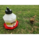 Image 2 of customer photos