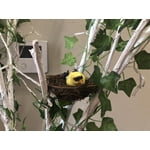 Image 7 of customer photos