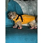 Image 3 of customer photos