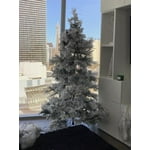 Image 5 of customer photos