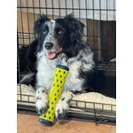 Image 3 of customer photos