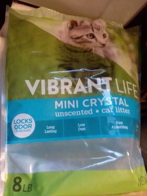 silica cat litter walmart