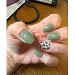 Image 6 of customer photos