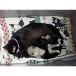 Image 5 of customer photos