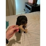 Image 5 of customer photos