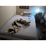 Image 3 of customer photos