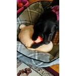 Image 6 of customer photos