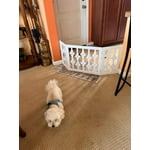 Image 2 of customer photos