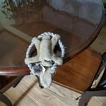 Image 1 of customer photos