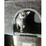 Image 3 of customer photos