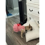 Image 2 of customer photos