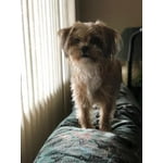 Image 7 of customer photos