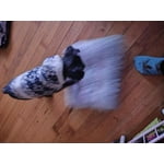 Image 4 of customer photos