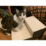 Image 2 of customer photos