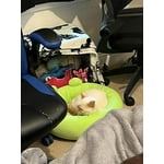 Image 3 of customer photos