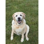 Image 7 of customer photos