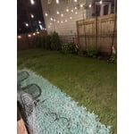 Image 6 of customer photos