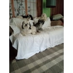 Image 6 of customer photos