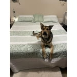 Image 7 of customer photos