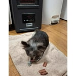 Image 3 of customer photos