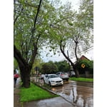 Imagen 6 de las fotos del cliente