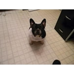 Image 5 of customer photos