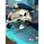 Image 2 of customer photos